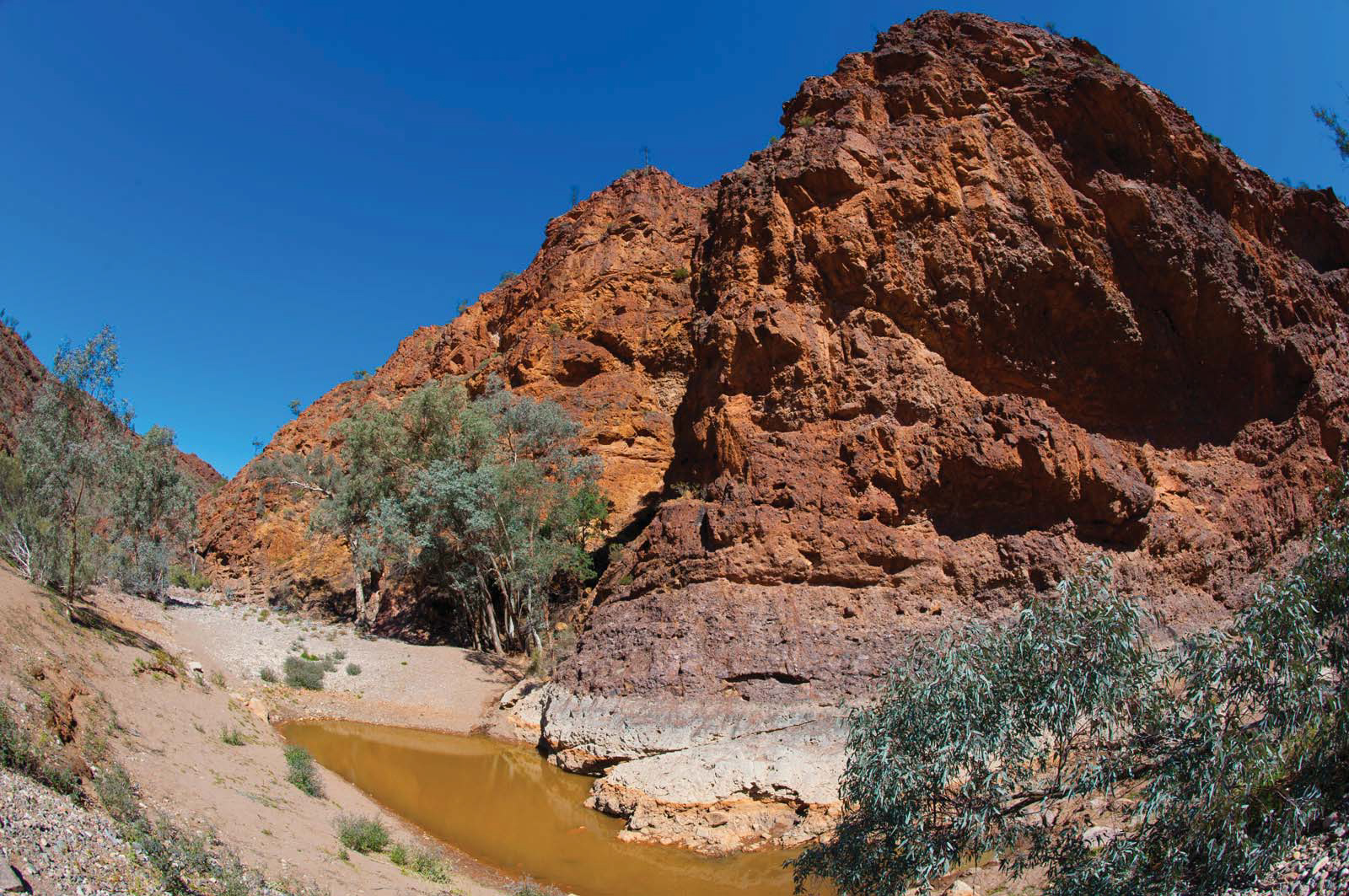 Arkaroola Art Adventures